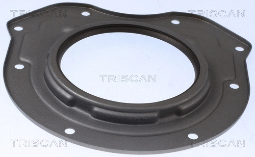 Shaft Seal, crankshaft (8550 10098)