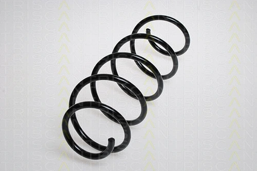 Suspension Spring (8750 23104)