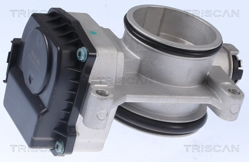 Throttle Body (8820 25002)