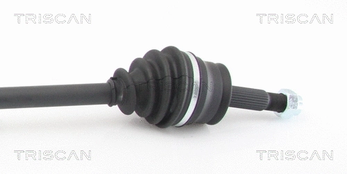Drive Shaft