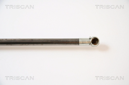 Gas Spring, boot/cargo area