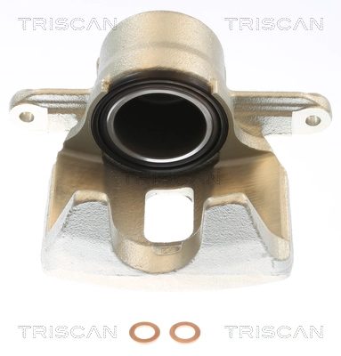 Brake Caliper (8175 69112)