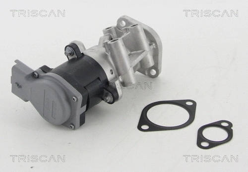 EGR Valve