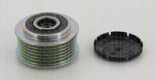 Alternator Freewheel Clutch (8641 504003)
