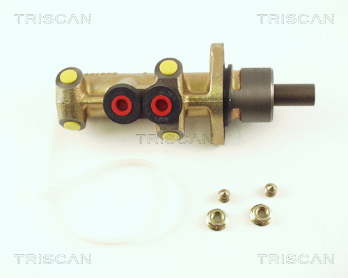 Brake Master Cylinder (8130 25113)