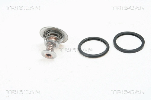 Thermostat, coolant (8620 7282)