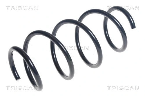 Suspension Spring (8750 23178)