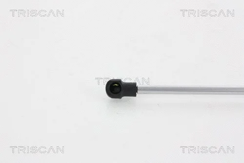 Gas Spring, boot/cargo area