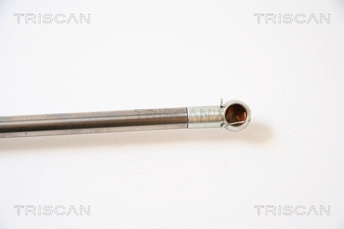 Gas Spring, boot/cargo area