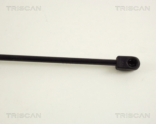 Gas Spring, boot/cargo area