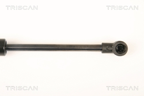 Gas Spring, boot/cargo area