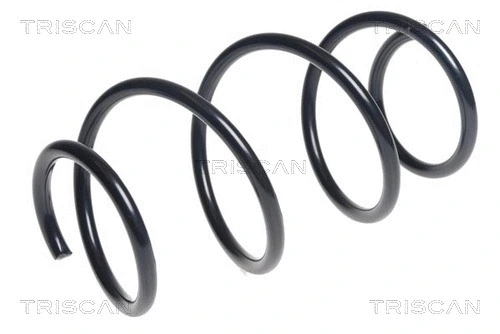 Suspension Spring (8750 11192)