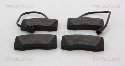 Brake Pad Set, disc brake (8110 12018)