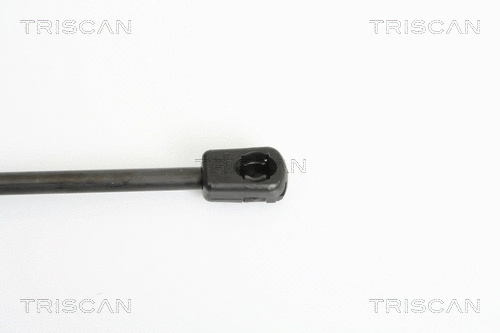 Gas Spring, boot/cargo area