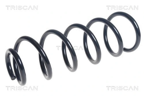Suspension Spring (8750 50112)