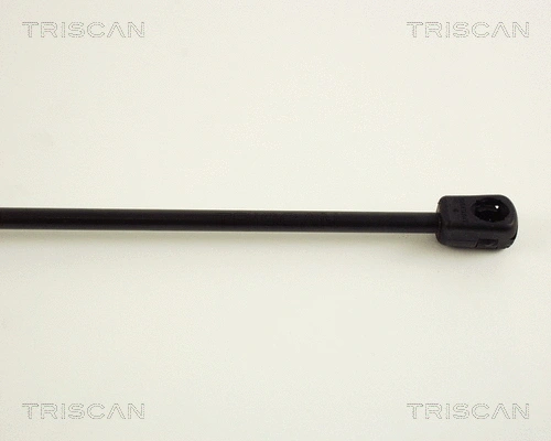 Gas Spring, boot/cargo area