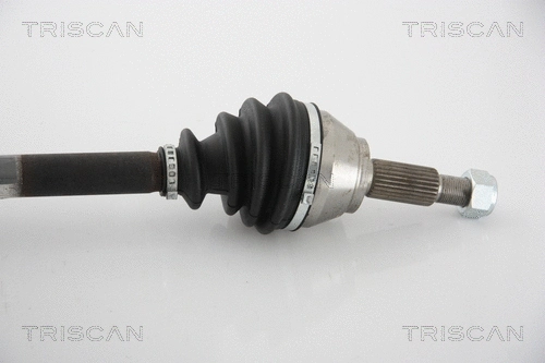 Drive Shaft