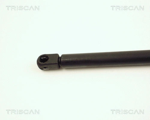 Gas Spring, boot/cargo area