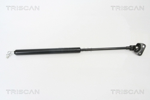 Gas Spring, boot/cargo area