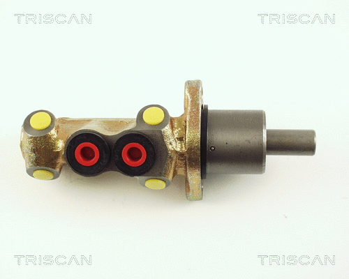 Brake Master Cylinder (8130 29103)