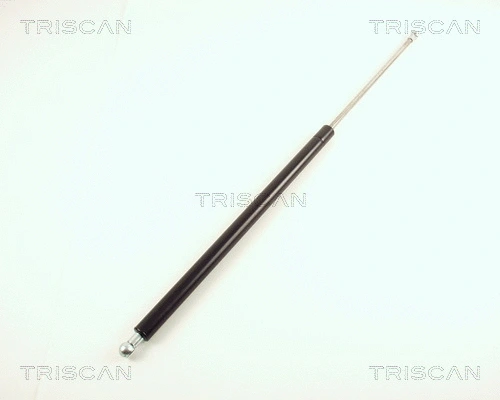 Gas Spring, boot/cargo area (8710 38210)