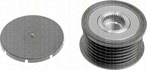 Alternator Freewheel Clutch (8641 234003)