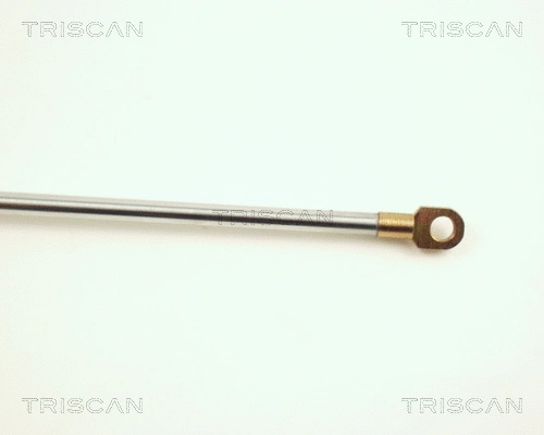 Gas Spring, boot/cargo area
