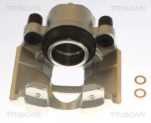Brake Caliper (8175 13103)
