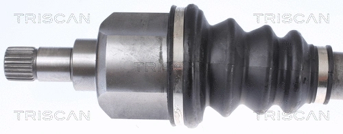 Drive Shaft
