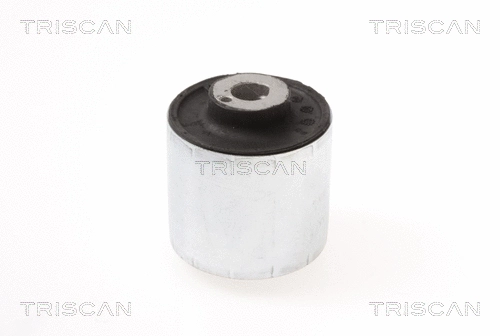 Mounting, control/trailing arm (8500 238005)