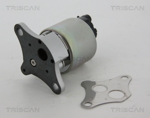 EGR Valve