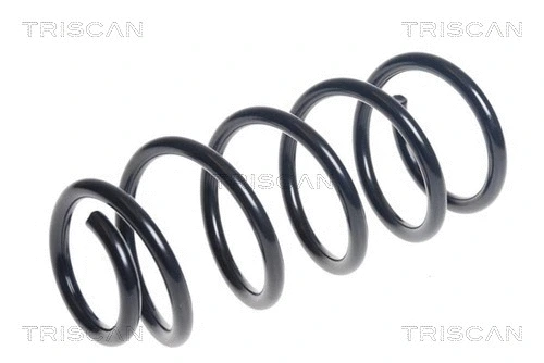 Suspension Spring (8750 11189)