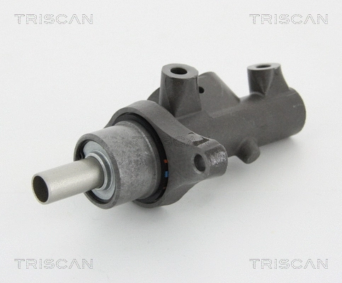 Brake Master Cylinder (8130 25153)