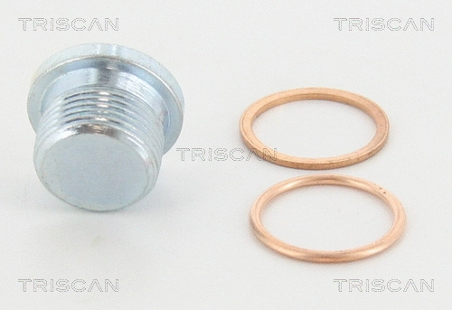 Screw Plug, oil sump (95-0964)