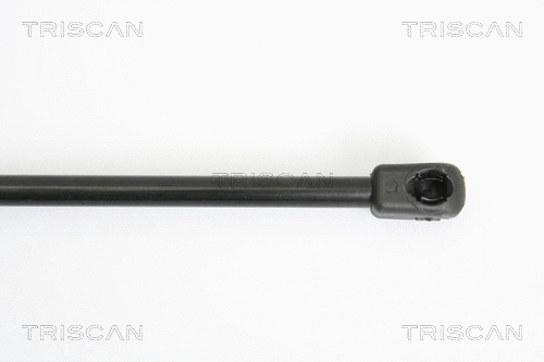 Gas Spring, boot/cargo area