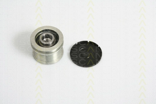 Alternator Freewheel Clutch (8641 234015)