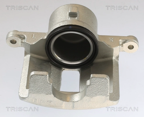 Brake Caliper (8175 13101)