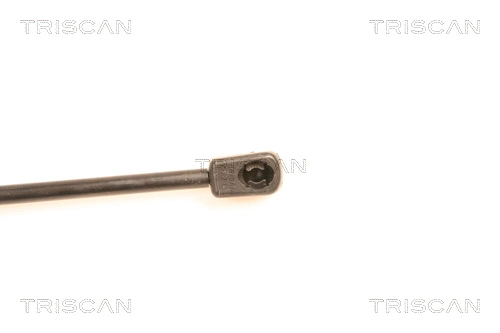 Gas Spring, boot/cargo area
