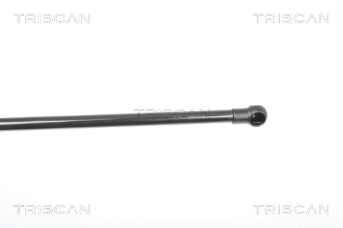 Gas Spring, boot/cargo area