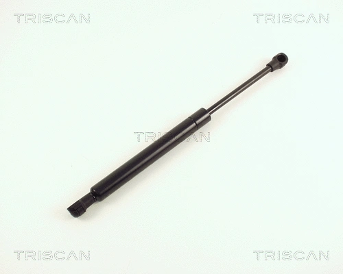 Gas Spring, boot/cargo area (8710 16231)