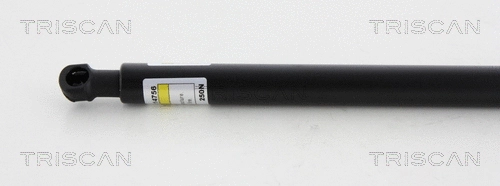Gas Spring, bonnet