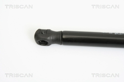 Gas Spring, boot/cargo area