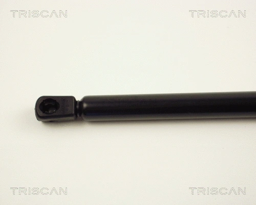 Gas Spring, boot/cargo area