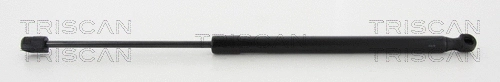 Gas Spring, boot/cargo area