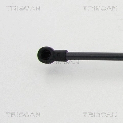 Gas Spring, boot/cargo area