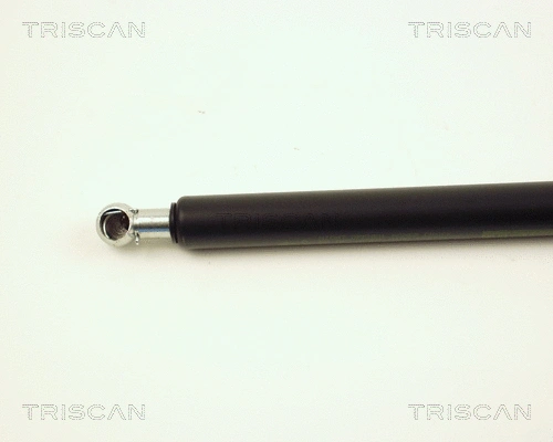 Gas Spring, boot/cargo area