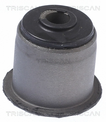 Mounting, control/trailing arm (8500 44800)