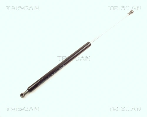 Gas Spring, boot/cargo area (8710 21202)