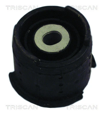 Bushing, axle beam (8500 11831)