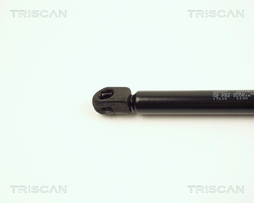 Gas Spring, boot/cargo area